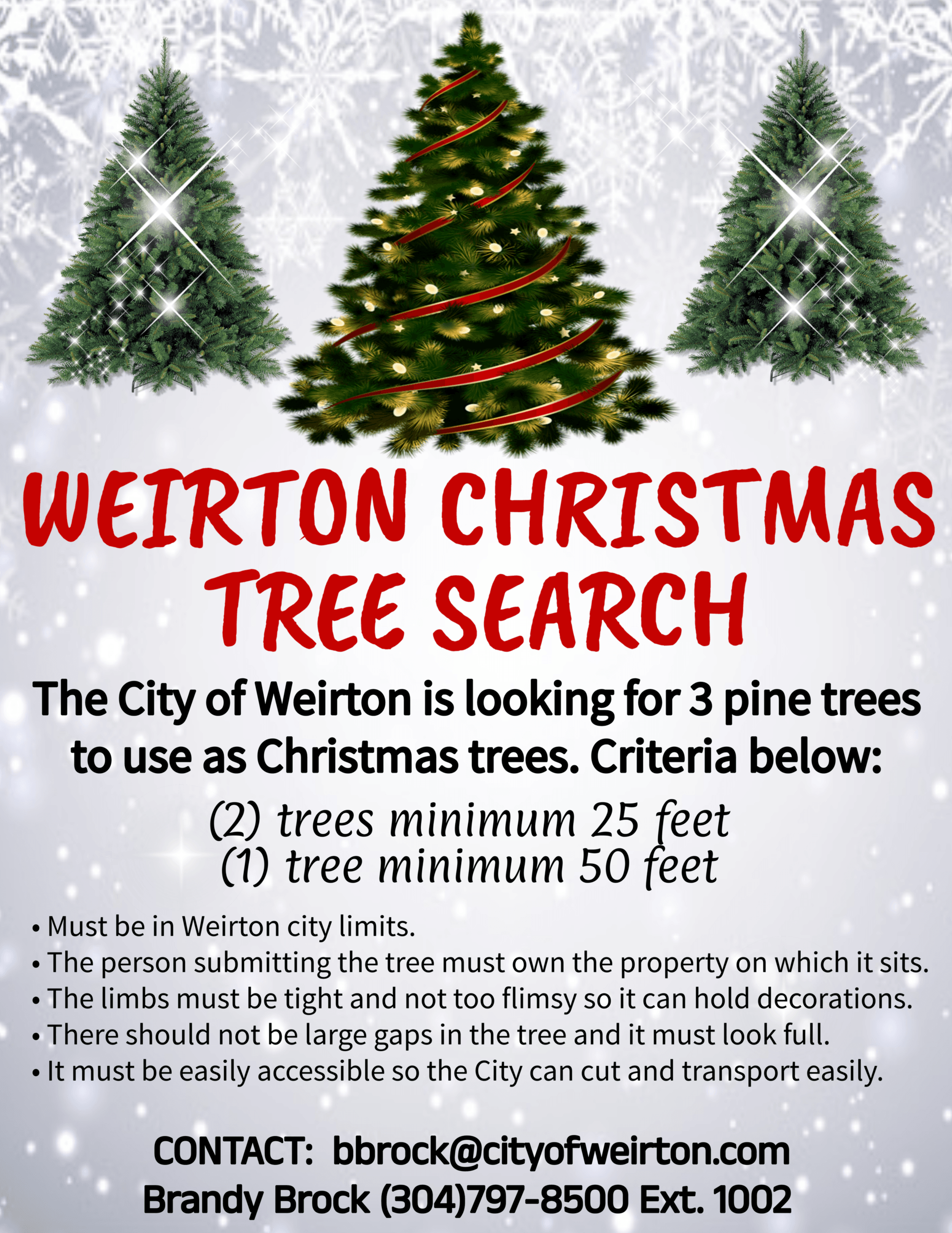 Christmas Tree Search Flyer (PNG)