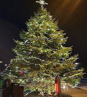 _20221111_000051376-1 (1)