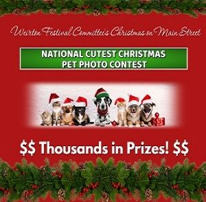 Christmas website (1)